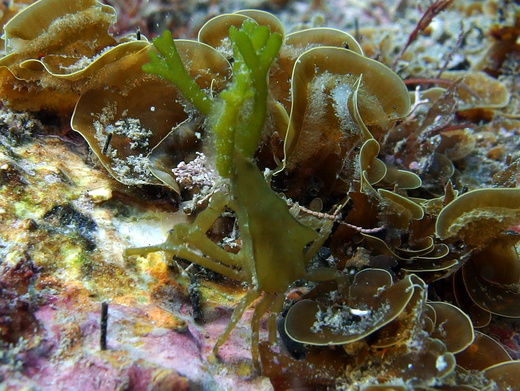 b0236647_12531314.jpg