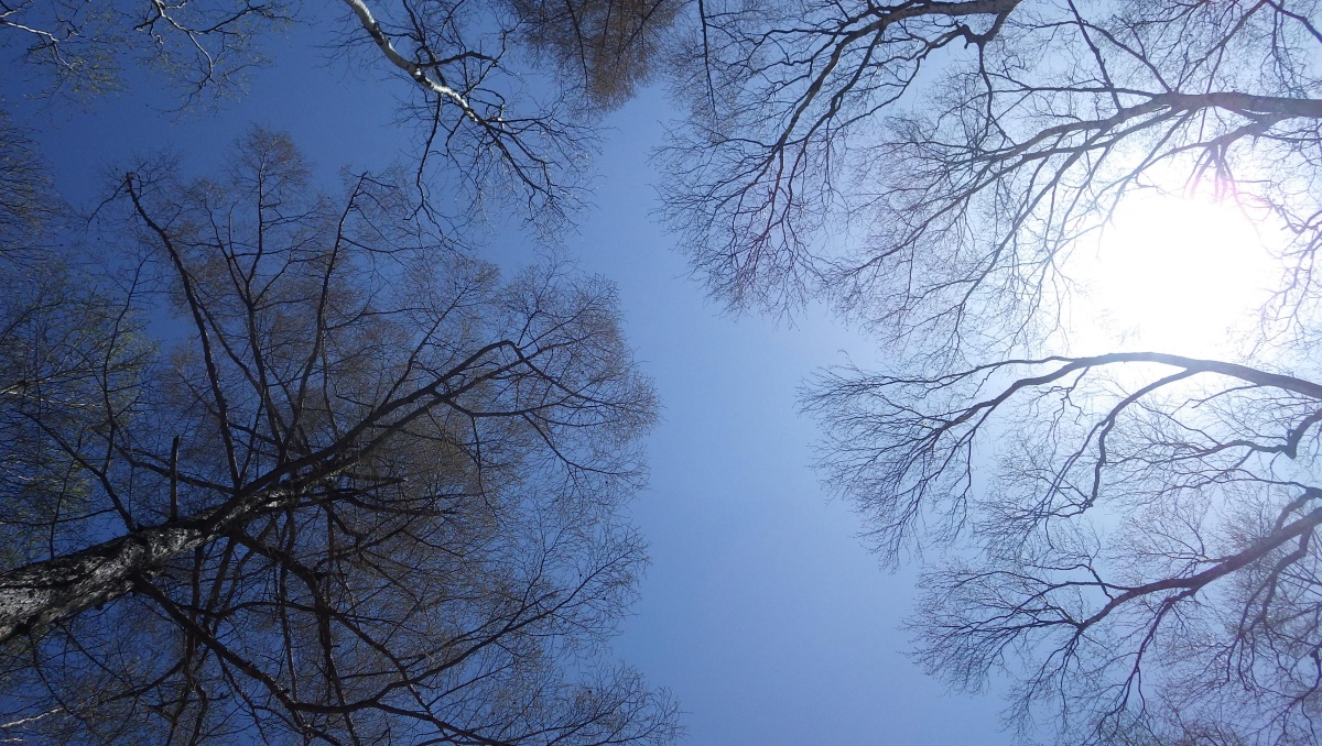 d0014748_1253258.jpg