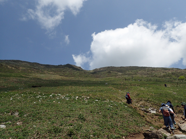 f0214649_3444064.jpg