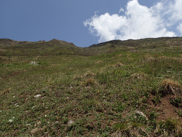 f0214649_3485912.jpg