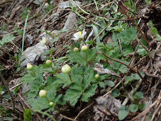 f0214649_3531027.jpg