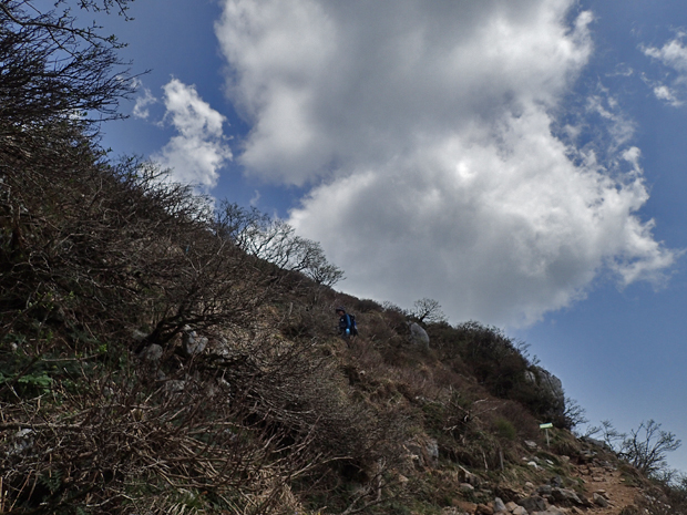 f0214649_3583162.jpg