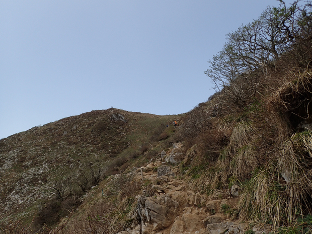 f0214649_3584976.jpg