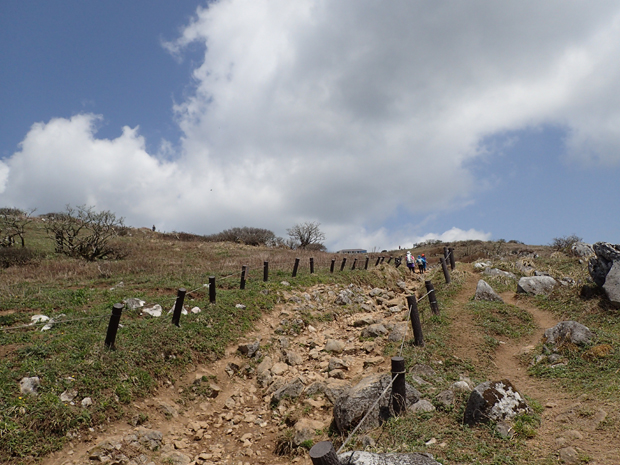f0214649_413842.jpg