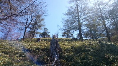 b0148050_12131258.jpg