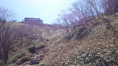 b0148050_1215559.jpg