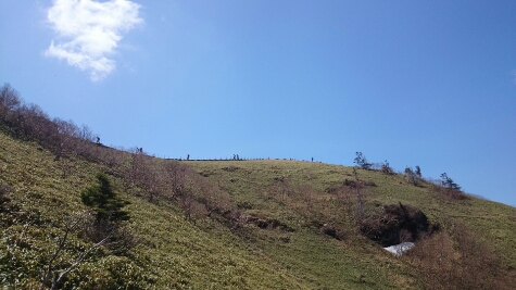 b0148050_12164596.jpg