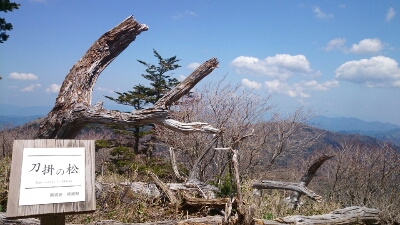 b0148050_12254223.jpg