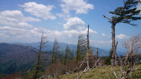 b0148050_12272848.jpg