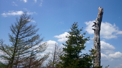 b0148050_12285257.jpg