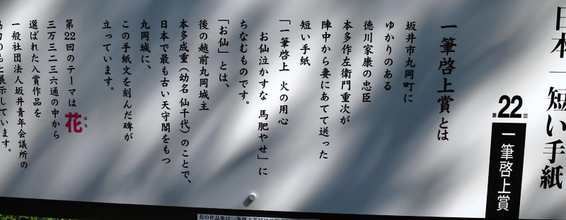 f0202151_19102960.jpg