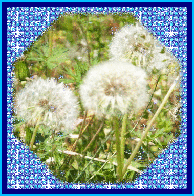 b0133752_20531752.gif