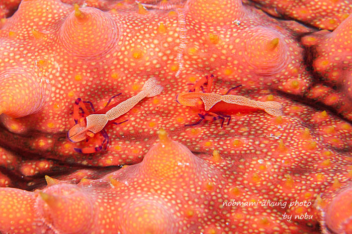 d0237353_832205.jpg