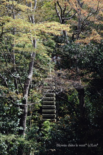 f0251765_20504980.jpg