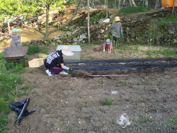 f0339068_08534331.jpg