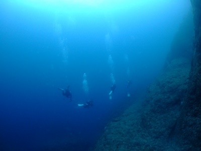 b0033573_17470474.jpg