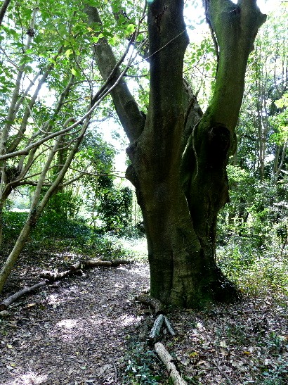 d0084473_2163751.jpg