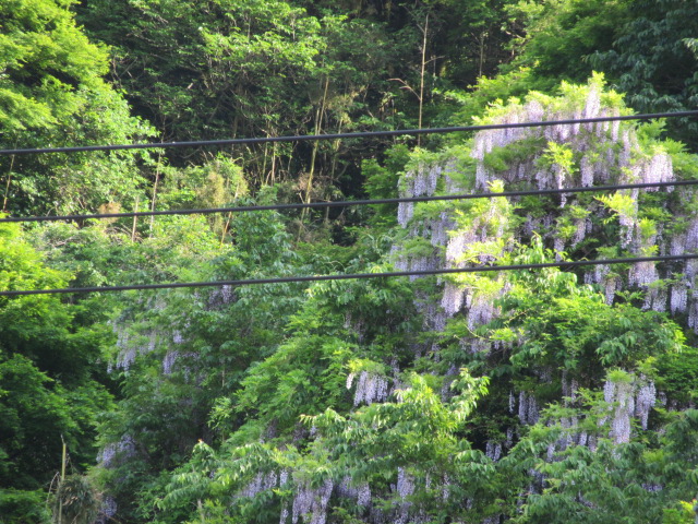 d0109373_12659100.jpg