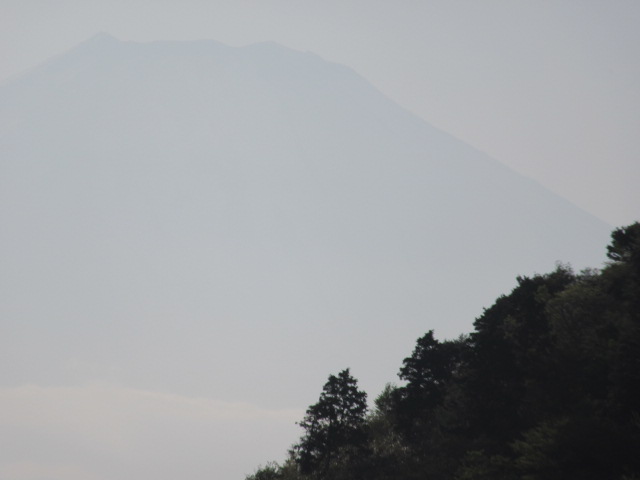 d0109373_1504624.jpg
