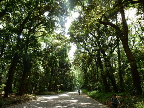 f0054677_08320499.jpg