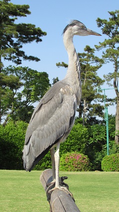 f0287177_8401622.jpg