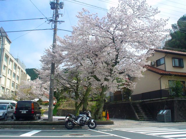 d0155582_2053370.jpg