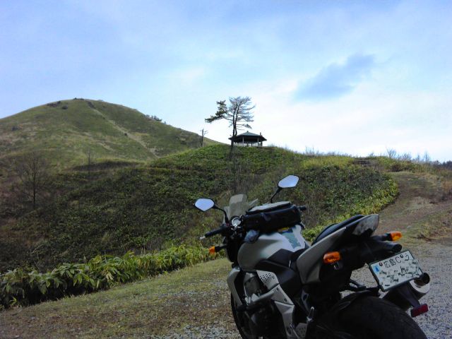 d0155582_20554339.jpg