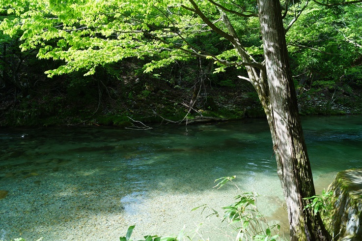 d0129083_12221536.jpg