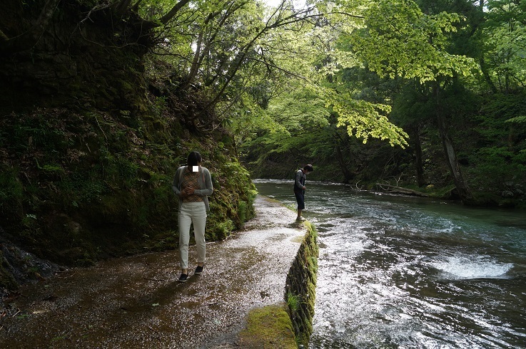 d0129083_12242253.jpg