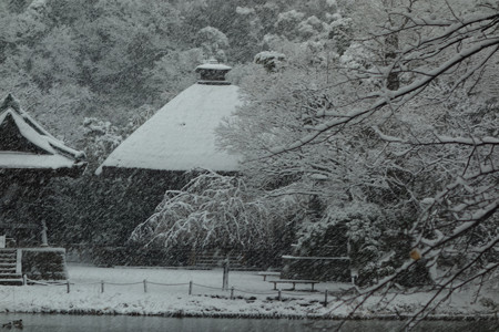 c0168984_10450379.jpg