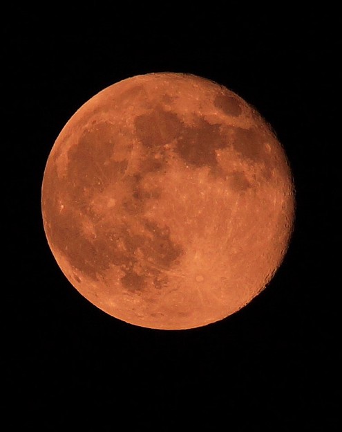 c0168984_10452928.jpg