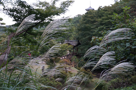 c0168984_10552363.jpg