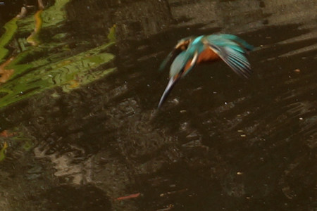 c0168984_10552859.jpg