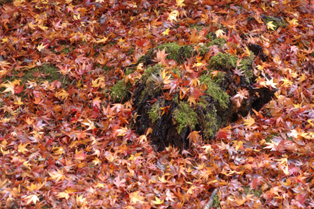 c0168984_10553280.jpg