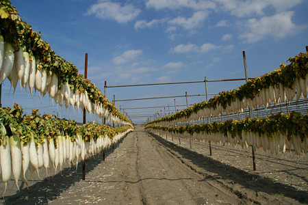 c0168984_11450718.jpg