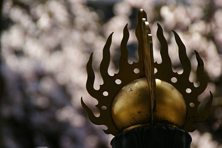c0168984_11451050.jpg
