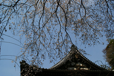 c0168984_11451077.jpg