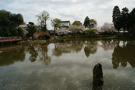 c0168984_11451286.jpg