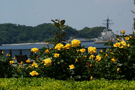 c0168984_11451318.jpg