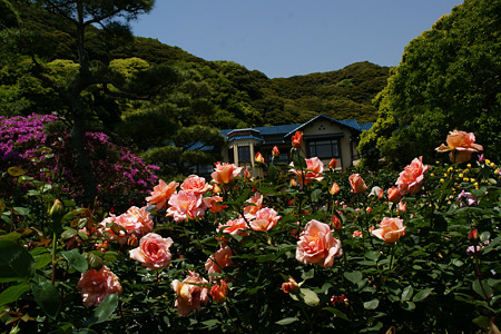 c0168984_11451404.jpg