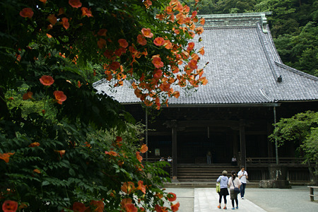c0168984_11451684.jpg