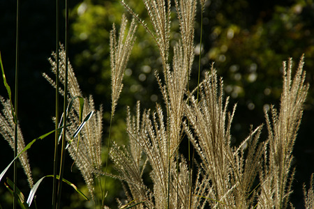 c0168984_11452122.jpg