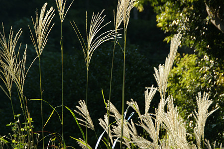 c0168984_11452179.jpg