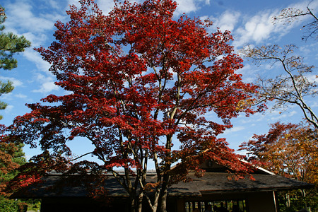 c0168984_11452674.jpg