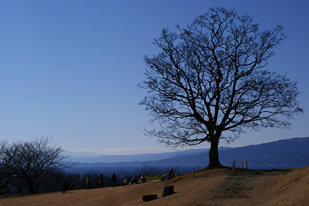 c0168984_11550254.jpg