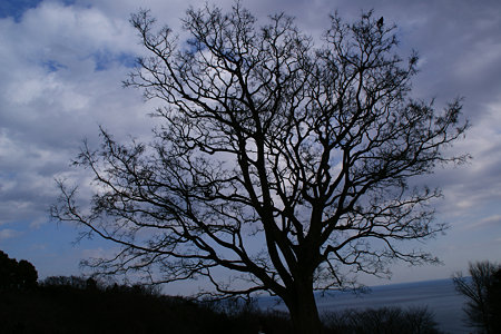 c0168984_11550414.jpg