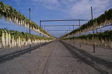 c0168984_11550638.jpg