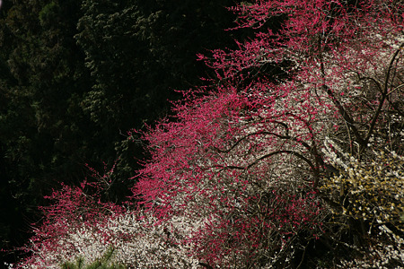c0168984_11550823.jpg