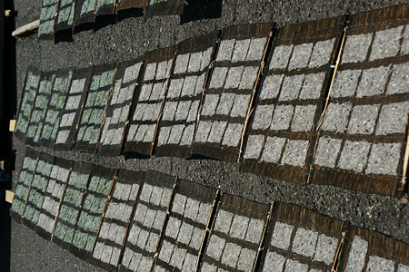 c0168984_11551556.jpg