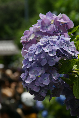 c0168984_11551691.jpg